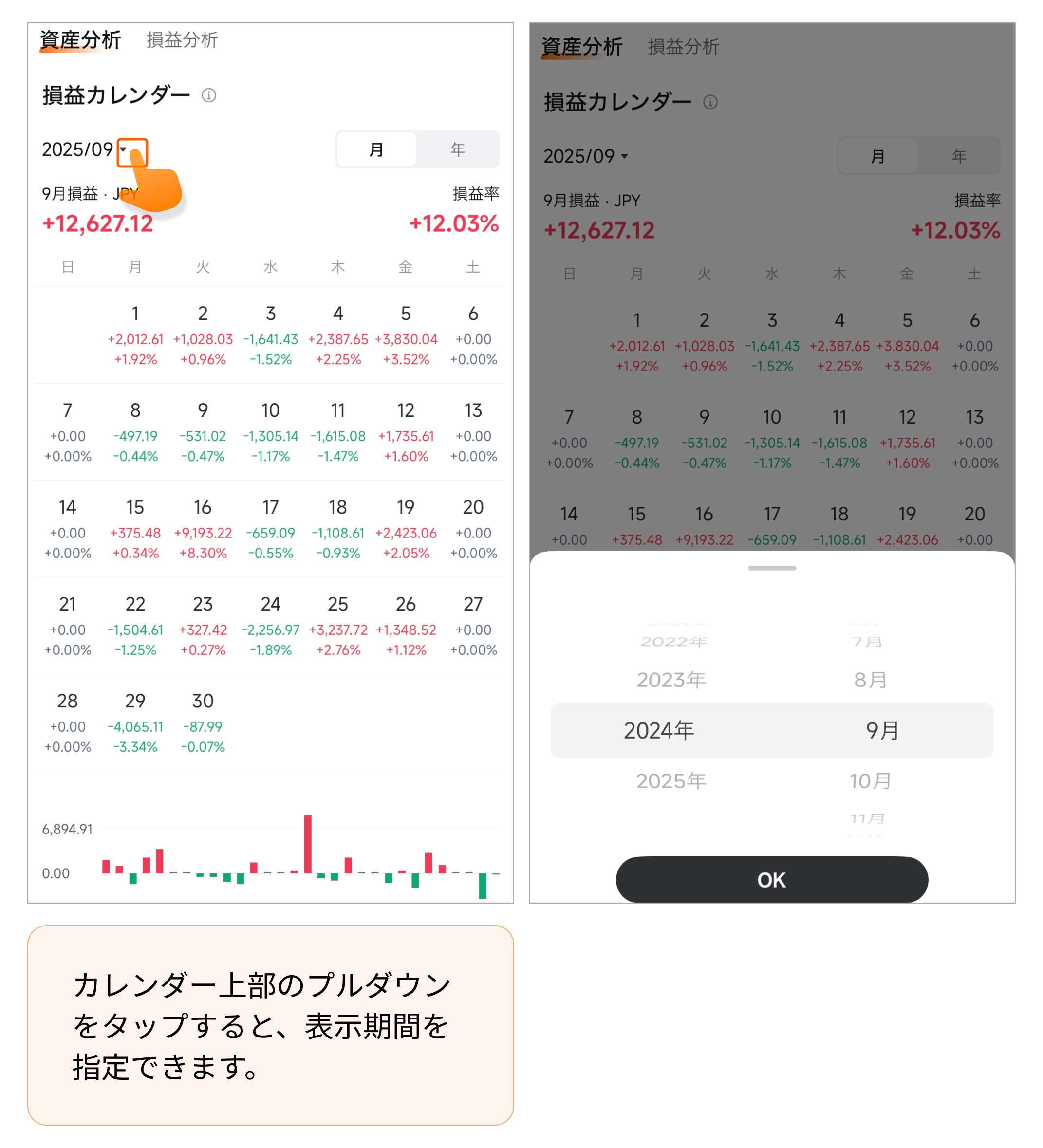 資産分析--moomooアプリのマニュアル
